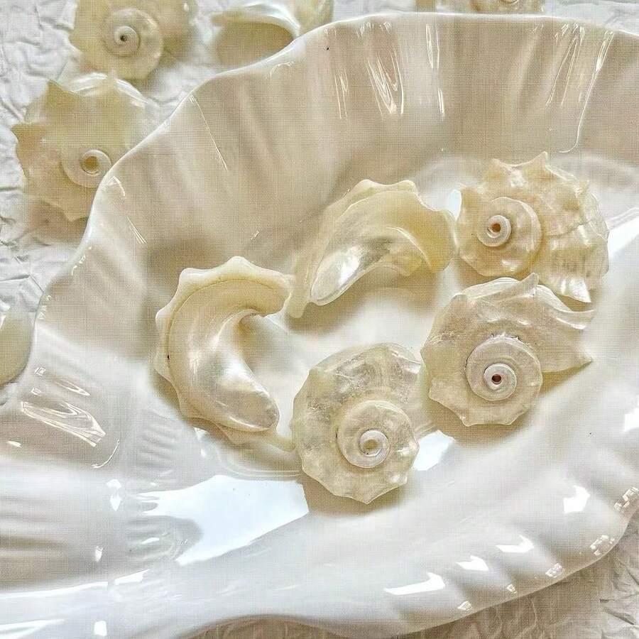 10/30pcs "Mermaid's Tears" Pearl Shells With Holes - Christmas Ornament DIY Kit, Holiday Gift Making Supplies, Scrapbooking Embellishments, Ocean Theme Jewelry Making & Wedding Party Decor - Như hiển thị - Xem 1