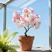 20pcs Cherry Blossoms Seeds Decor Flower Seeds Indoor Gardening Planting Outdoor Garden Accent Pink Blooms for Home - Babypink - Übersicht 1