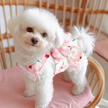 1pc Dog Dress With Leash, Princess Style, Suitable For Poodle, Teddy, Bichon Frise And Other Small Dogs, Spring/Autumn - Multicolor - View 12