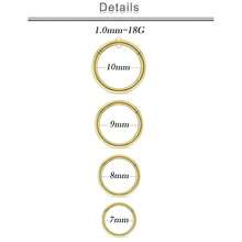 20G 18G 16G 14G 12G 10G Surgical Steel Hinged Clicker Segment Nose Rings Hoop Lip Rings Helix Cartilage Daith Tragus Sleeper Earrings Body Piercing For Women Men 6mm 8mm 10mm 12mm 14mm 16mm{Inchcolor_nameinch:InchGold-18G(1.0mm)-InnerDiameter:7mm8mm9mm10mminch} - 金-18G(1.0mm)-內徑:7mm8mm9mm10mm - 查看 3