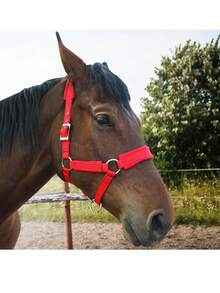 Wool-Lined Bitless Bridle, Adjustable Headstall, Satin Metal Fittings To Prevent Friction, Detachable Headstall, Perfectly Balances Traction And Athletic Performance.