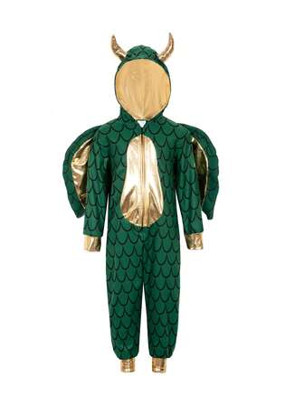 1 套成人恐龙服装带兜帽和翅膀，恐龙角色扮演服装，表演道具，带翅膀的连体衣 2 件