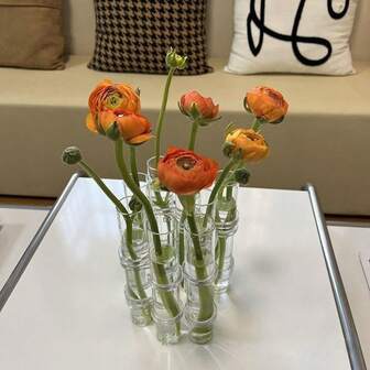 Transparent hydroponisk glasvas, blomsterarrangemang i glasdekoration, lämplig för hemmabruk, festivalgåvor, blomsterarrangemang, hydroponiska blomkrukor och kombinationsvasdekoration