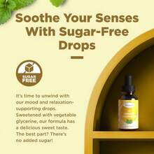 Organic Lemon Balm Leaf Liquid Extract For Immune Support - Lemon Balm Tincture For Mood &Amp; Relaxation Support - Organic Tincture Leaf Drops For Adults &Amp; Kids Dietary Supplement - 2OZ - 2 Pack - Flavor NameA - 查看 2