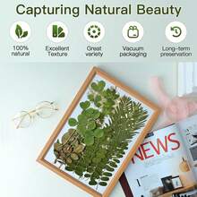 Dried Pressed Flowers Resin, Real Pressed Flowers Dry Leaves Bulk Natural Herbs Kit Scrapbooking Art Crafts, Resin Soap Candle Scrapbook Supplies Card Making Jewelry (Green) - 綠色 - 查看 11