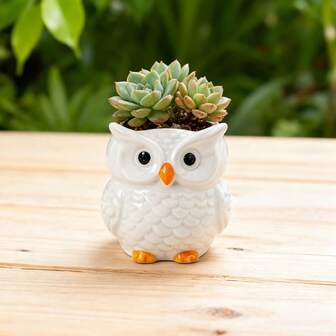 3英寸多肉植物花盆（带排水孔），陶瓷花盆，可爱白色猫头鹰系列，手工制作，适合多肉植物，小型植物，装饰性