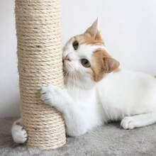 Petmaker Penthouse Sleep and Play Cat Tree White 4' - como en la foto - Ver 4