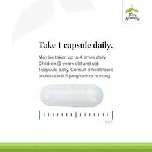 Terry Naturally BioActive Magnesium Complex - Bone &Amp; Heart Health Support - Supplement With Vitamin B6, Zinc &Amp; Magnesium - Pyridoxal-5-Phosphate Vegan Capsule Supplement - 120 Capsules - Flavor NameB - 查看 4