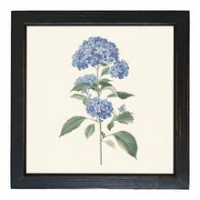20.32x20.32 Summer Blue Hydrangea Wall Art With Wooden Frame - Elegant Floral Decor Living Room, Kitchen, Bedroom, Laundry, Bathroom - Mother'S Day Mom, Son, Daughter, Friend, Floral Home Decor - Black-1 - View 3