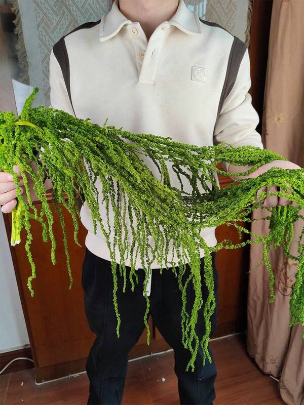 1/2/5 زهرة محفوظة بيضاء، ديكور حفل الزفاف، ديكور الحفلات، ديكور المنزل، فن المساحات