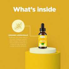 Organic Lemon Balm Leaf Liquid Extract For Immune Support - Lemon Balm Tincture For Mood &Amp; Relaxation Support - Organic Tincture Leaf Drops For Adults &Amp; Kids Dietary Supplement - 2OZ - 2 Pack - Flavor NameA - 查看 5