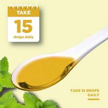 Organic Lemon Balm Leaf Liquid Extract For Immune Support - Lemon Balm Tincture For Mood &Amp; Relaxation Support - Organic Tincture Leaf Drops For Adults &Amp; Kids Dietary Supplement - 2OZ - 2 Pack - Flavor NameA - 查看 6