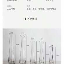 5.9/7.87/9.84 英寸透明玻璃花瓶，适用于餐桌摆饰，玛丽亚现代纤细透明花蕾花瓶，单支花瓶，适合婚礼、情人节、婴儿派对、复活节、聚会、桌面摆饰、家居办公室客厅装饰 - 無色 - 查看 12