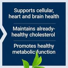 Life Extension Decaffeinated Mega Green Tea Extract – Polyphenol-Rich, Cell Health, Heart Health, Brain Health, Antioxidant Protection – Non-GMO, Gluten-Free, Vegetarian – 100 Capsules - Flavor NameA - 查看 4