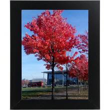8x12 Without Mat,Wall Certificate Poster Photo Frame, 1 Pack - 1P Đen - Xem 2