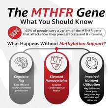 10X Health TMG Supplements - Trimethylglycine Supplement For Liver Support, Heart Wellness, Energy, Homocysteine Levels - TMG Capsules With Betaine Anhydrous - Non-GMO &Amp; Gluten-Free - 60 Capsules - 白色的 - 查看 8