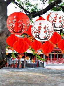 16个/套 梅花图案装饰纸灯笼，樱花主题灯笼，适用于家居装饰、餐厅、派对、婚礼装饰 - 彩色 - 查看 9