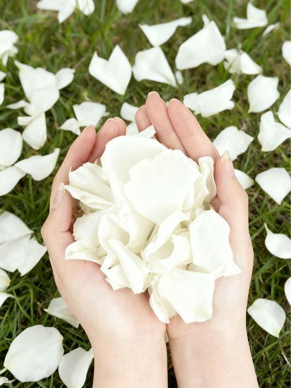 3000pcs Artificial White Rose Petals,Romantic Handmade Flowers,Suitable For Wedding Party Room Layout Home Decoration,Birthday Decoration,Table Centerpieces,Bedroom Decoration,Room Decoration,Bathroom Decoration,Valentine's Day Gift,Graduation Decoration