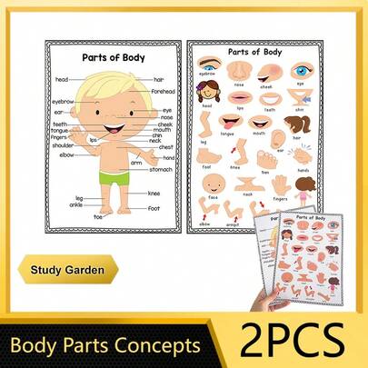 Lachilly Set de 2 carteles educativos sobre el Body, adecuados para que los niños pequeños y los niños aprendan las partes del Body, juguetes de aprendizaje Montessori, decoración de pared para el aula, carteles educativos en inglés, tablón de anuncios, habitación de los niños, herramientas de aprendizaje preescolar, tamaño: 8.26 X 11.2 pulgadas