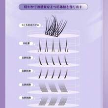 False Eyelashes - 04-fox Type - View 10