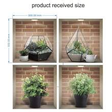 4pcs Potted Plants Illustration Decorative Frosted Pvc Stickers Wholesale, N1076 Cross-border Living Room Decor Wall Sticker - Green - View 15