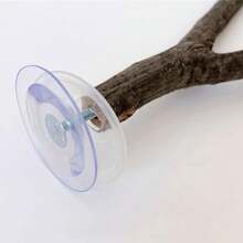 Crovakeu 3-Lot Suction Cup Window Bird Perch Stands - Parrot Shower Perches For Small To Medium Parrots