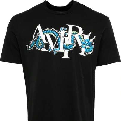 Camiseta del dragón Amiry220 g Camiseta de algodón puro de 220 g para primavera-verano. Siente la temporada en su máxima expresión. Nuestra camiseta de algodón puro de está tejida para una transpirabilidad y suavidad excepcionales, lo que la convierte en tu compañera ideal desde las flores de primavera hasta el sol de verano. Diseñada para la comodidad durante todo el día, es más que un básico: es un regalo considerado y práctico para envolver a tus seres queridos en una comodidad inquebrantable.