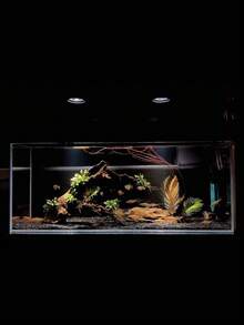 200/800g Aquarium Decorative Bottom Sand Stone-3mm-9mm Fish Tank Filter Material Rock, Suitable For Aquarium, Fish Tank, Turtle Tank, Tank, Rainforest Tank As Bottom Sand Paving Stone, Also Suitable For Indoor Decoration, Plant Green Plants, Potted Hydroponics, Flower Pots, Vases As Decorative Stones - Multicolor - View 6