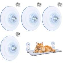 Snaps - 透明な - チェックする 2