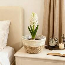 3PCS Straw Pot, Minmalist Soiid Coior Plant Container For Home