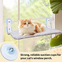 Snaps - 透明な - チェックする 6