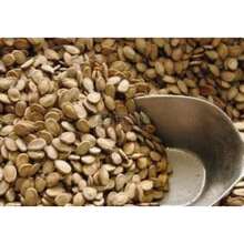 300seeds Super Sweet Jar Small Watermelon Seeds Seedless Small Watermelon Seeds All-Season Planting Balcony Garden Potted Thin-Skinned Watermelon - 33件 - 查看 2