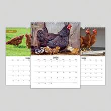 1 calendar de perete cu tematică amuzantă de pui 2026, planificator lunar creativ cu ilustrații de cocoș și găină la fermă, decor de perete cu animale drăguțe, potrivit pentru birou, dormitor, cadou de Crăciun și Anul Nou pentru iubitorii de pui