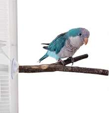 Crovakeu 3-Lot Suction Cup Window Bird Perch Stands - Parrot Shower Perches For Small To Medium Parrots