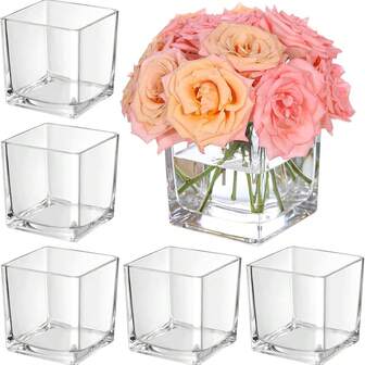 1-Pack 6/8/10cm Square Glass Vases - Clear Geometric Centerpiece Set For Flowers & Candles - Multi-Use Decor For Wedding/Home/Office - Fall Tablescape Essential, Holiday Party Decor, Minimalist Home Accent, Instagrammable Vase Set, Modern Gift Idea