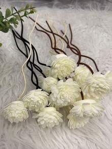 一股香藤形卷藤香水挥发棒配件天然印尼藤草香水挥发棒酒店厕所客厅卧室可用香水熏香棒