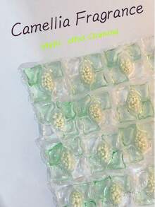 كبسولات مُنظف الغسيل ذات رائحة الكاميليا 5 في 1، صيغة مركزة باللون الأخضر الفاتح، رائحة طويلة الأمد، مُنعم، أساسي منزلي عالي الجودة، مُنقذ الشخص المتهاون، منعش وشافي، عطر إلهي - متعدد الألوان - مشاهدة 3