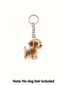 1pc/4pcsTransparent Pet Hair Storage Container Made Of Plastic(Dear Valued Customers, Please Carefully Review The Product Videos And The Actual Photos Of The Details Before Making Your Purchase Decision.),(The 4-Piece Set Includes Forceps.), Capsule Design Portable Keychain Suessential For Pet Owners Year-Round,Dog Hair Collection Keychain , Pet Fur Key Holder Transparent Bottle, Portable Memory Capsule For Pet Hair Keepsake