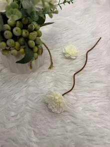 一股香藤形卷藤香水挥发棒配件天然印尼藤草香水挥发棒酒店厕所客厅卧室可用香水熏香棒