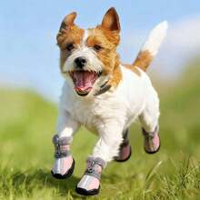 4pcs/Set Reflective Leather Snow Boots For Small Dogs, Warm & Waterproof Outdoor Winter Shoes, Pet Supplies For Autumn/Winter - Grey - View 1