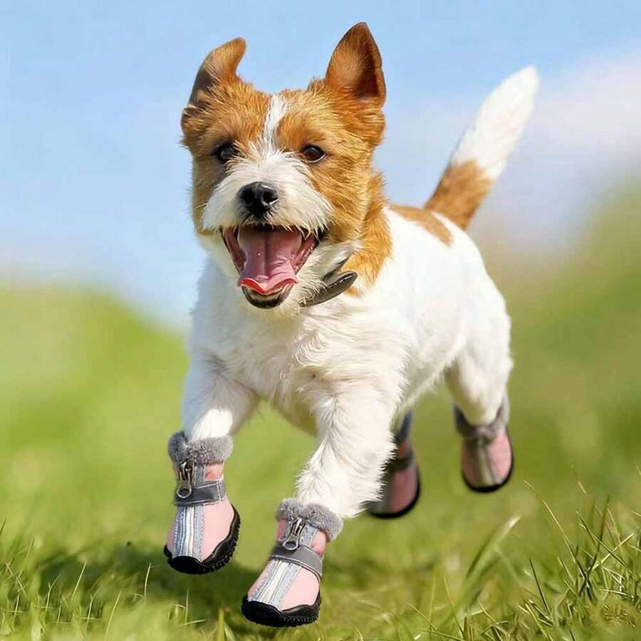 4pcs/Set Reflective Leather Snow Boots For Small Dogs, Warm & Waterproof Outdoor Winter Shoes, Pet Supplies For Autumn/Winter - Grey - View 1