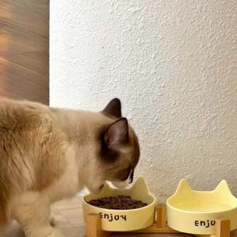 1 pieza Juego de alimentación elevado para gato/perro de material cerámico y PP con soporte antiderrame - Tazón inclinado antideslizante/para perro, diseño de compartimento doble, tazón fácil de limpiar para comida húmeda/seca, etiqueta con forma de oreja linda (compatible para ambas mascotas)