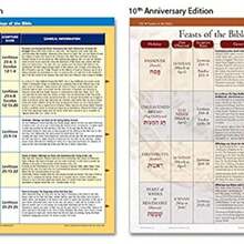 Rose Book Of Bible Charts, Maps, And Time Lines - màu đen - Xem 5