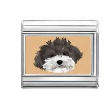 1pc DIY Photo Modular Bracelet With Animal Elements, Suitable As Party Gift For Friends/Couples, Applicable For Christmas, New Year, Halloween, Valentine's Day, Charming Design, Stainless Steel Jewelry, Local , Practical & Fashionable, Christmas Essential, Christmas Style, Christmas Decor, Party Outfit Guide, Christmas Gift Supplies, Christmas Home Atmosphere, Elegant Attire, Halloween Accessories, And Suitable For All Seasons, School, Gala, Graduation - M293922 - View 4