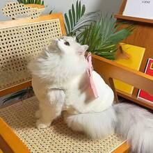 Chaleco para perro con adorno de lazo de piel sintética, ropa de mascota cálida para perros y gatos en otoño/invierno