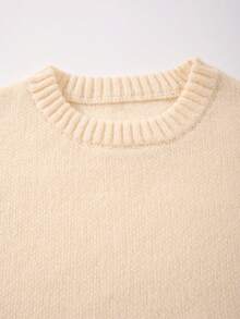 ANDREILEE Men's Casual Pullover Sweater, Streetwear Style, Solid Color, Long Sleeve, Round Neck, Loose Fit, Short Length, Lightweight, Polyester, Suitable For Spring, Autumn And Winter - Beige - View 6