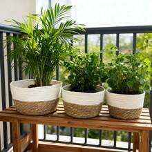 3PCS Straw Pot, Minmalist Soiid Coior Plant Container For Home