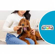 Outward Hound Dogwood Wood Durable Dog Chew Toys, Real Wood & Calming Hemp, 2-Pack, Medium - 山茱萸傑克 - 查看 3
