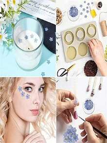 50 Natural Forget-Me-Not Dried Flowers, Real Flowers, For Accessories, Candle Making, Card Making, DIY Resin Decorations, Nail Art Decorations - Blue - View 7