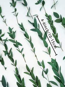 15/30/60pcs Eucalyptus Leaves, For Soap Making, DIY, Dried Flowers, Preserved Flowers, Home Decor, Cake Decoration - Green - View 2